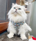 Load image into Gallery viewer, Floral Plush Pet Vest - WizzPaw
