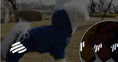 Load image into Gallery viewer, Full-coverage Four-legged Waterproof Raincoat - WizzPaw