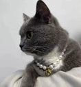 Load image into Gallery viewer, Garden Party-Pet Pearl Necklace Collar - WizzPaw