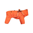 Load image into Gallery viewer, (Orange)
