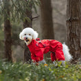 Load image into Gallery viewer, High-Collar Rainproof Dog Raincoat - WizzPaw