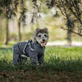 Load image into Gallery viewer, High-Collar Rainproof Dog Raincoat - WizzPaw