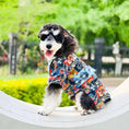 Load image into Gallery viewer, Japanese Pet Samurai Outfit - WizzPaw