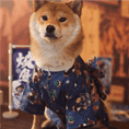 Load image into Gallery viewer, Japanese-Style Pet Kimono - Kimono Doll - WizzPaw