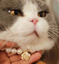 Load image into Gallery viewer, Lucky Flower-Pet Pearl Necklace Collar - WizzPaw