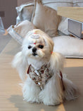 Load image into Gallery viewer, New Chinese-style Pet Qipao - Picnic Basket - WizzPaw