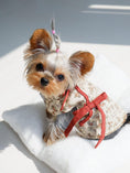 Load image into Gallery viewer, New Chinese-style Pet Qipao - Picnic Basket - WizzPaw
