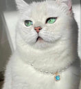 Load image into Gallery viewer, Ocean Star-Pet Pearl Necklace Collar - WizzPaw