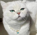 Load image into Gallery viewer, Ocean Star-Pet Pearl Necklace Collar - WizzPaw