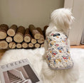 Load image into Gallery viewer, Padded Pet Vest - WizzPaw
