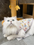 Load image into Gallery viewer, Padded Pet Vest - WizzPaw