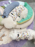 Load image into Gallery viewer, Padded Pet Vest - WizzPaw