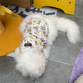 Load image into Gallery viewer, Padded Pet Vest - WizzPaw