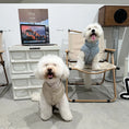 Load image into Gallery viewer, Pet 90% White Duck Down Jacket - WizzPaw