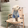 Load image into Gallery viewer, Pet 90% White Duck Down Jacket - WizzPaw