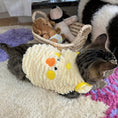 Load image into Gallery viewer, Pet Animal-Shaped Plush Vest - WizzPaw
