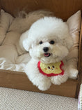 Load image into Gallery viewer, Pet Apple Bandana - WizzPaw