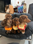 Load image into Gallery viewer, Pet Apple Bandana - WizzPaw