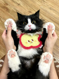 Load image into Gallery viewer, Pet Apple Bandana - WizzPaw