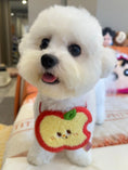Load image into Gallery viewer, Pet Apple Bandana - WizzPaw