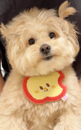 Load image into Gallery viewer, Pet Apple Bandana - WizzPaw