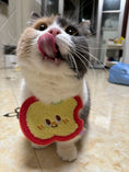 Load image into Gallery viewer, Pet Apple Bandana - WizzPaw