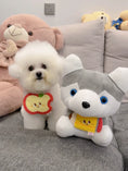Load image into Gallery viewer, Pet Apple Bandana - WizzPaw