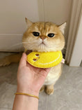 Load image into Gallery viewer, Pet Banana Bandana - WizzPaw