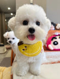 Load image into Gallery viewer, Pet Banana Bandana - WizzPaw