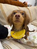 Load image into Gallery viewer, Pet Banana Bandana - WizzPaw