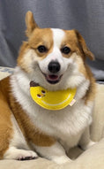 Load image into Gallery viewer, Pet Banana Bandana - WizzPaw