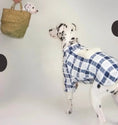 Load image into Gallery viewer, Pet Blue and White Plaid Outfit - WizzPaw