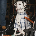 Load image into Gallery viewer, Pet Blue and White Plaid Outfit - WizzPaw