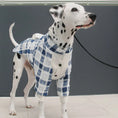Load image into Gallery viewer, Pet Blue and White Plaid Outfit - WizzPaw