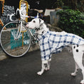 Load image into Gallery viewer, Pet Blue and White Plaid Outfit - WizzPaw