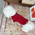 Load image into Gallery viewer, Pet Bow-Knot Knit Sweater - WizzPaw