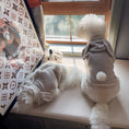 Load image into Gallery viewer, Pet Bunny Ear Cloak - WizzPaw