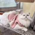 Load image into Gallery viewer, Pet Bunny Ear Cloak - WizzPaw