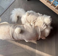 Load image into Gallery viewer, Pet Bunny Ear Cloak - WizzPaw