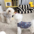 Load image into Gallery viewer, Pet Cartoon Vest - WizzPaw