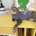 Load image into Gallery viewer, Pet Cartoon Vest - WizzPaw