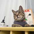 Load image into Gallery viewer, Pet Cartoon Vest - WizzPaw