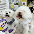 Load image into Gallery viewer, Pet Cartoon Vest - WizzPaw