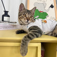 Load image into Gallery viewer, Pet Cartoon Vest - WizzPaw