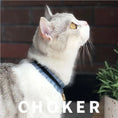 Load image into Gallery viewer, Pet Choker-Blue - WizzPaw