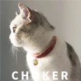 Load image into Gallery viewer, Pet Choker-heart - WizzPaw