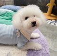 Load image into Gallery viewer, Pet Collared Knit Cardigan - WizzPaw