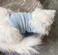 Load image into Gallery viewer, Pet Collared Knit Cardigan - WizzPaw