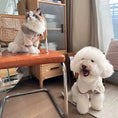 Load image into Gallery viewer, Pet Colorblock Knit Cardigan - WizzPaw