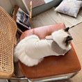 Load image into Gallery viewer, Pet Colorblock Knit Cardigan - WizzPaw